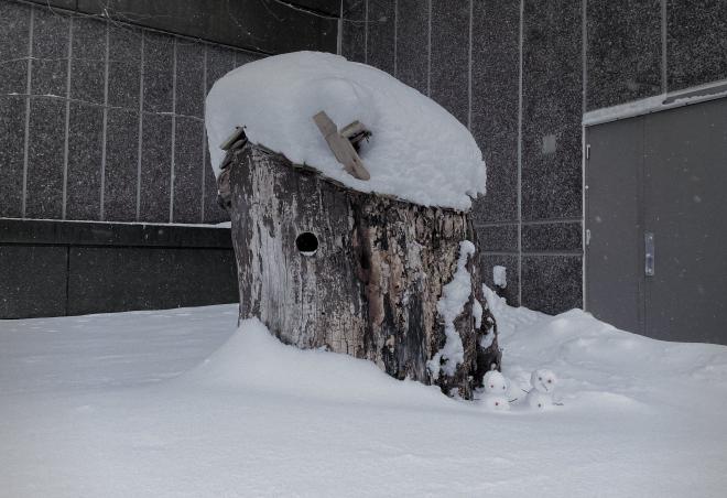 Pooh House -- Cambridge, MA.